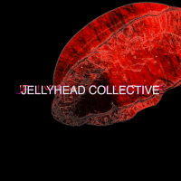 Jellyhead Podcast cover