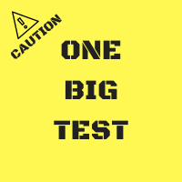One Big Test cover