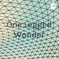 One Legged Wonder cover