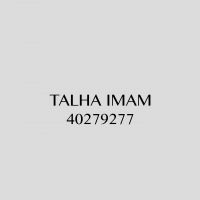 The talhaimam325's Podcast cover