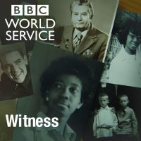 Witness cover