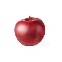 Zona de Manzanas cover