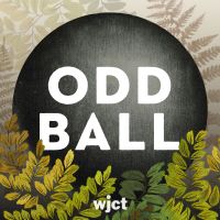 Odd Ball Podcast cover