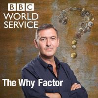 The Why Factor cover