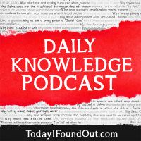 Daily Knowledge Podcast cover
