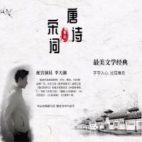 诗词入梦系列：唐诗三百首 cover