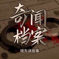 晓东讲故事-奇闻档案 cover