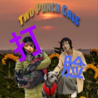 打脸 cover