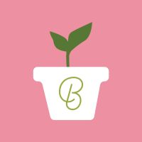 Beginner cover