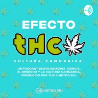 Efecto THC cover