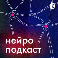 Нейроподкаст cover