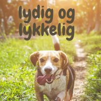 Slik får du en lydig og lykkelig hund cover