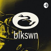 blkswn radio cover