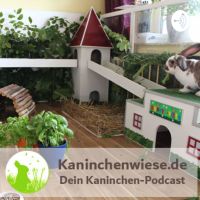 Kaninchenwiese.de Dein Kaninchen-Podcast cover