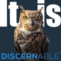 It is Discernable® cover