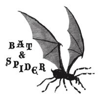 BAT & SPIDER cover