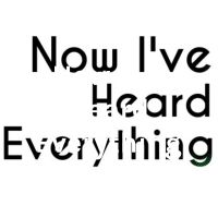 Now I've Heard Everything cover