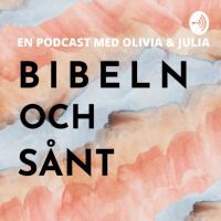 Bibelnochsånt cover