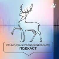 Развитие Нижегородской области cover