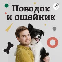 Поводок и Ошейник cover