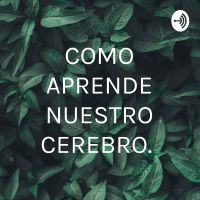 COMO APRENDE NUESTRO CEREBRO. cover
