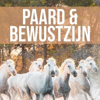 Paard & Bewustzijn cover