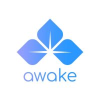 Awake MINDFULNESS cover
