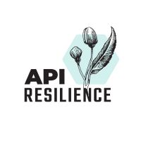 API Resilience cover