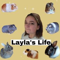 Layla's life cover
