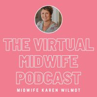 The Virtual Midwife cover