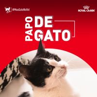 Papo de Gato cover