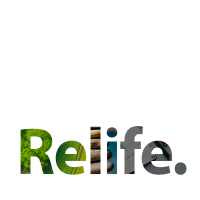 Relife : amélioration du quotidien et développement personnel cover