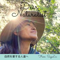 Dear Naturalist -自然を愛する人達へ cover