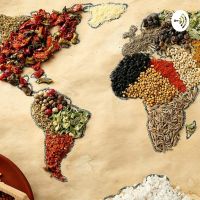 Gastronomía cover