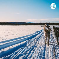 Kræsjkurs I Hundekjøring cover