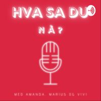 Hva sa du nå? cover