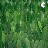 Đọc sách cùng An cover