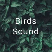 Birds Sound cover