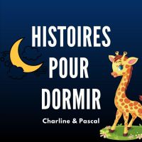 HISTOIRES POUR DORMIR cover