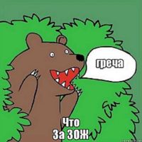 Что за ЗОЖ cover