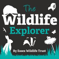 The Wildlife Explorer cover