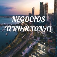 NEGOCIOS INTERNACIONALES cover