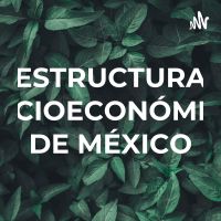 ESTRUCTURA SOCIOECONÓMICA DE MÉXICO cover