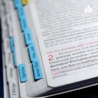 BIBEL in einem Jahr cover