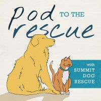 POD to the Rescue cover