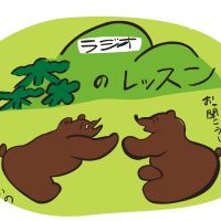 ラジオ「森のレッスン」 cover