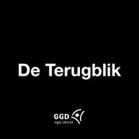 De Terugblik cover