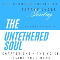 The Quantum Butterfly cover