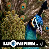 luominen.fi cover