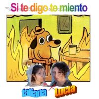 Si te digo te miento cover